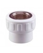 20 mm - 1/2' İç Diş Nipel